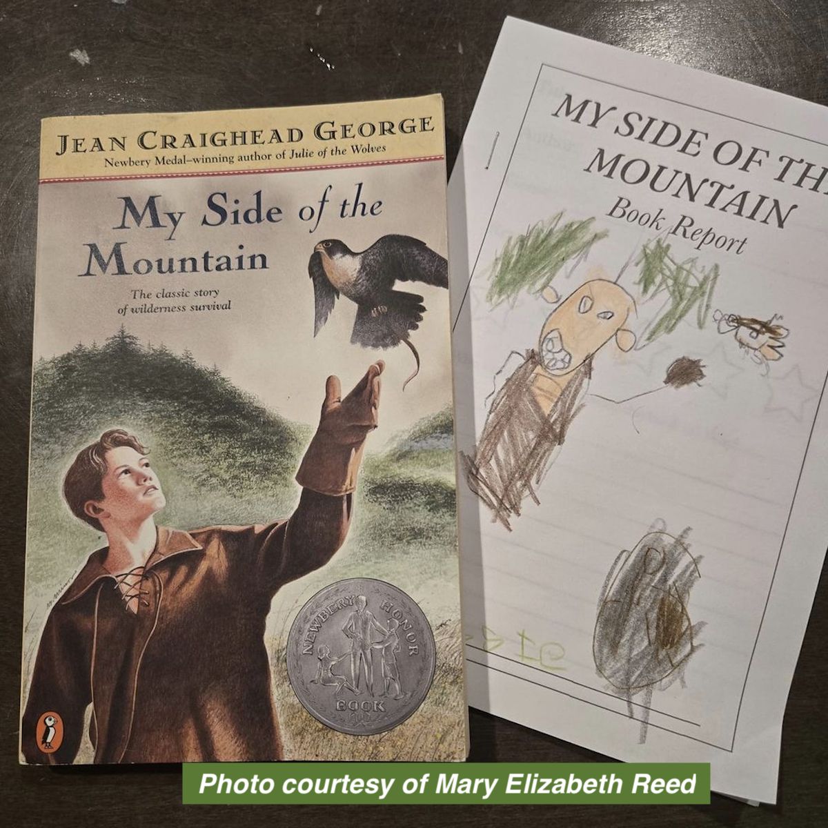 My Side of the Mountain Book Study