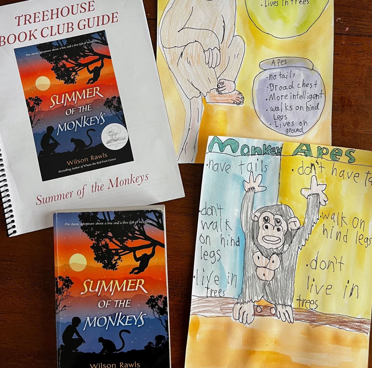 Treehouse Book Studies - Summer Collection