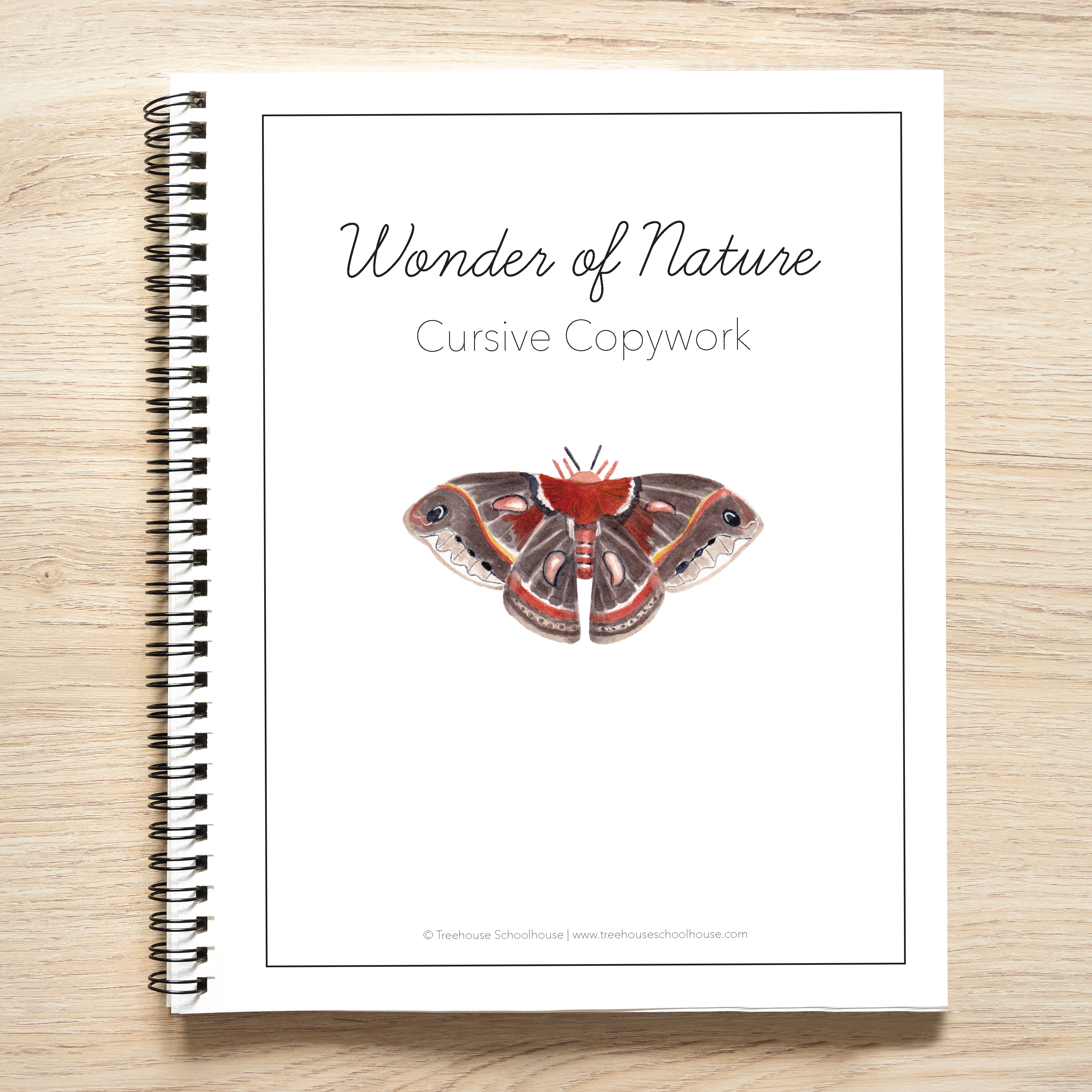 Wonder of Nature Cursive Copywork (Digital Download)