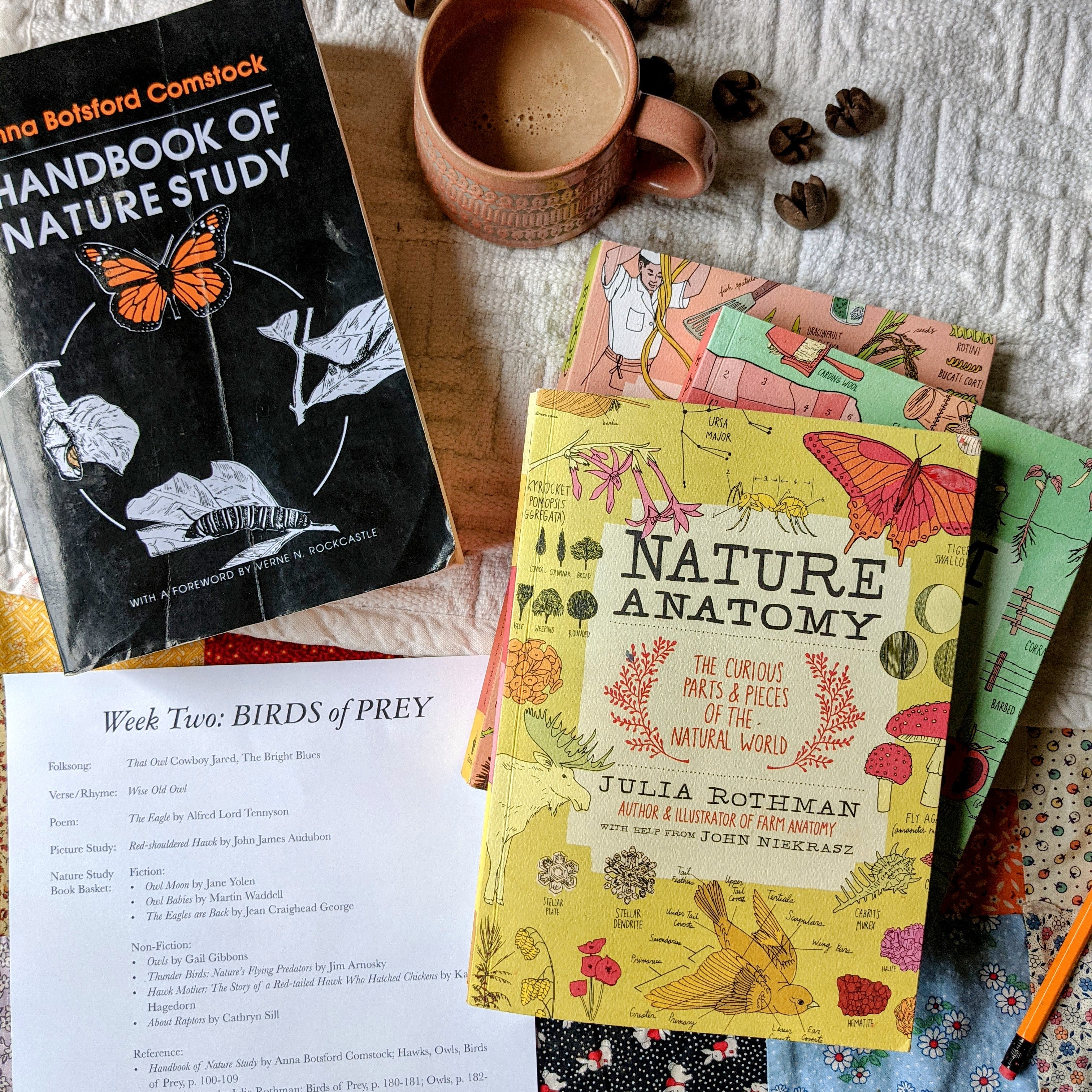 Treehouse Nature Study: Four Seasons Collection, Primary Years