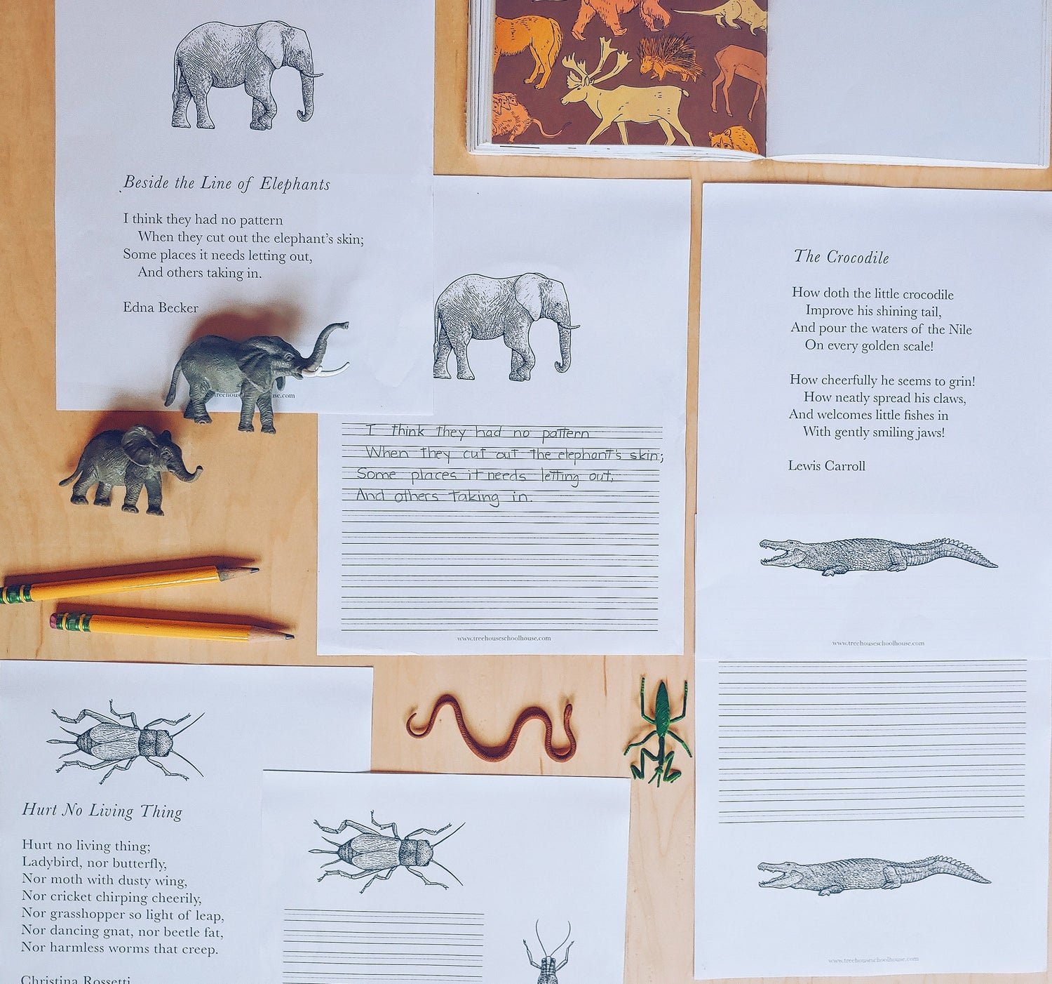 Nature Poetry Collection