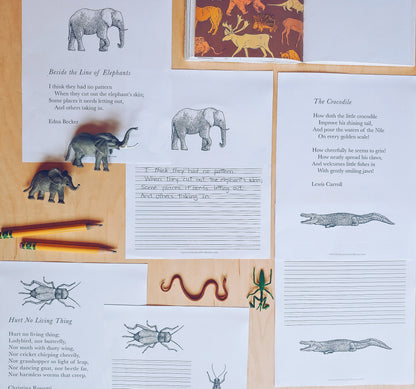 Nature Poetry Collection