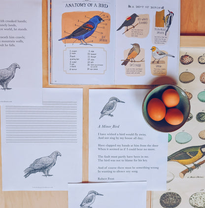 Nature Poetry Collection