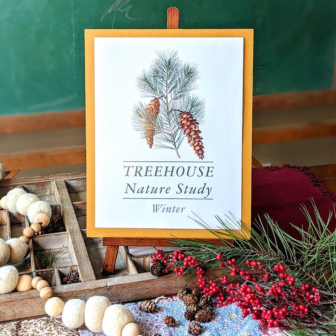 Treehouse Nature Study: Winter, Primary Years (Small Group License)