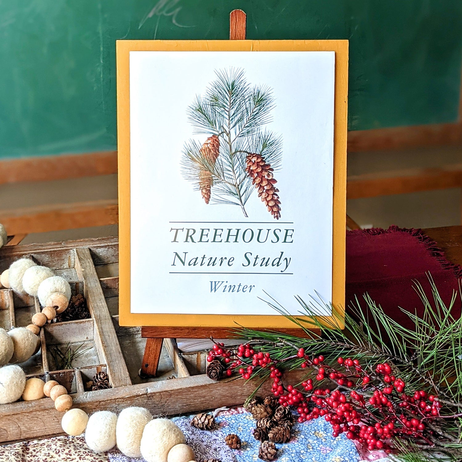 Treehouse Nature Study: Winter, Primary Years (Small Group License)