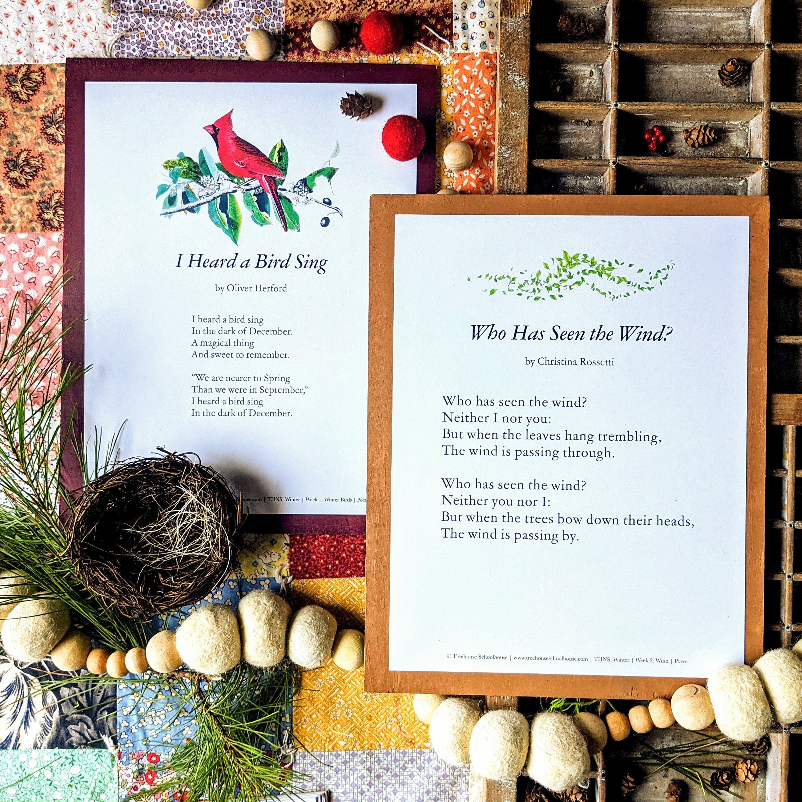 Treehouse Nature Study: Winter, Primary Years (Small Group License)