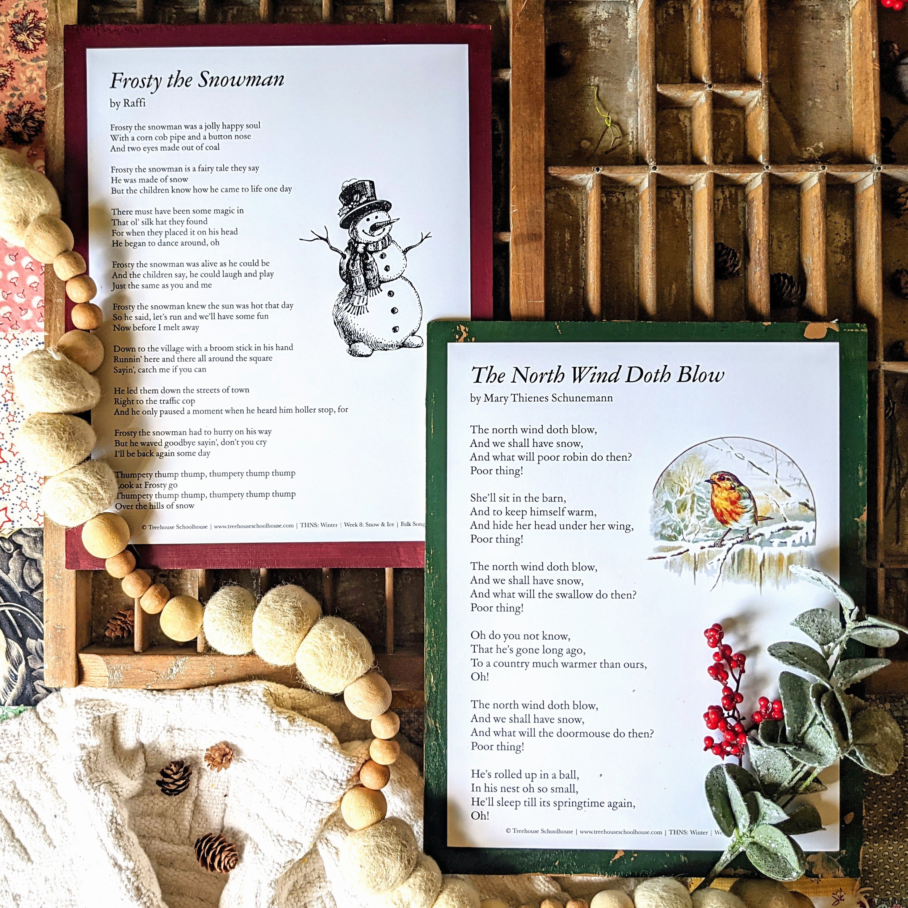 Treehouse Nature Study: Winter, Primary Years