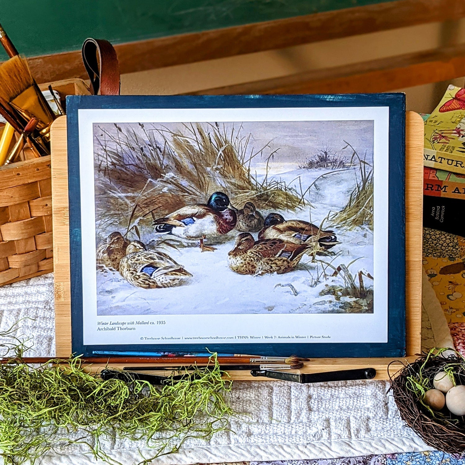 Treehouse Nature Study: Winter, Primary Years (Small Group License)