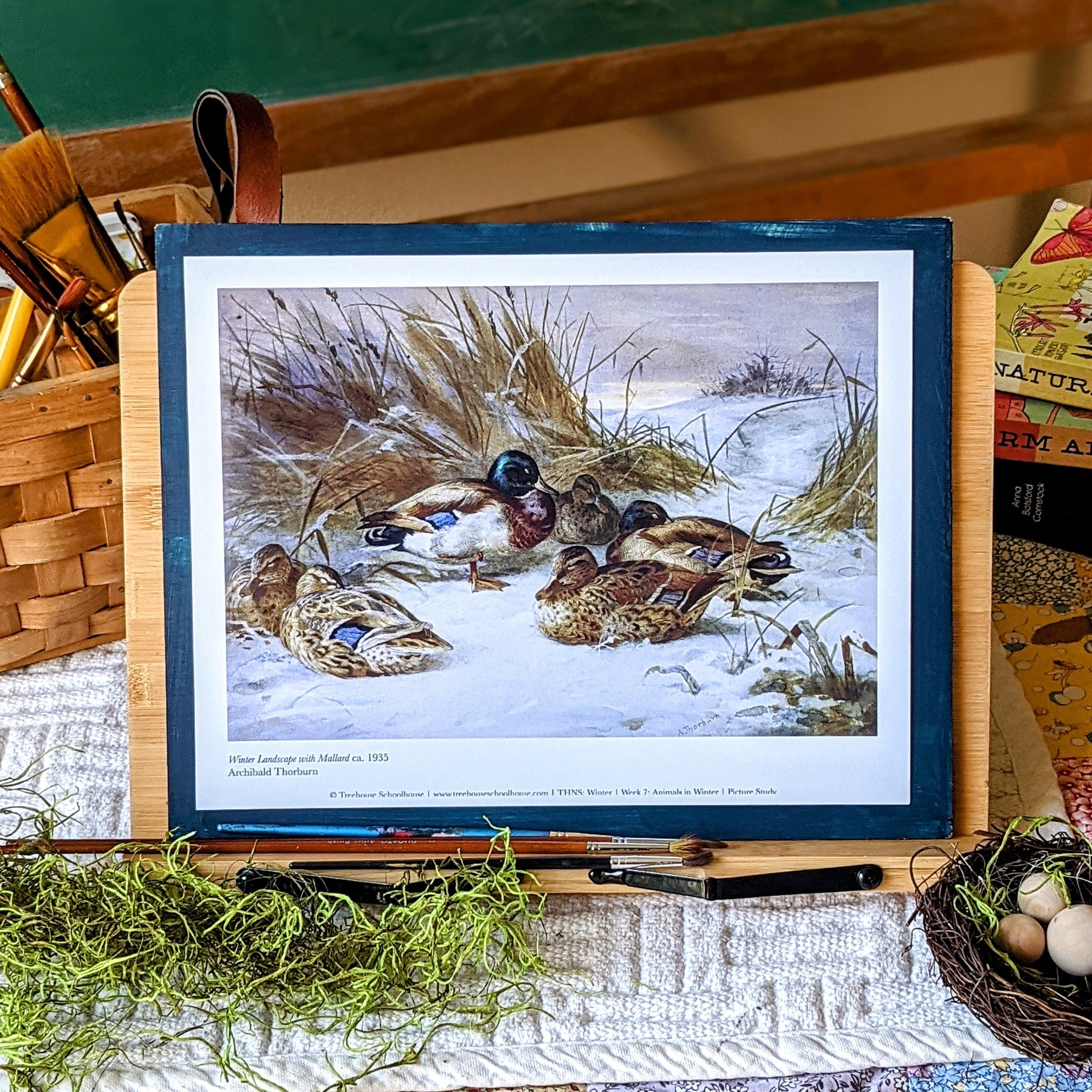 Treehouse Nature Study: Winter, Primary Years (Small Group License)