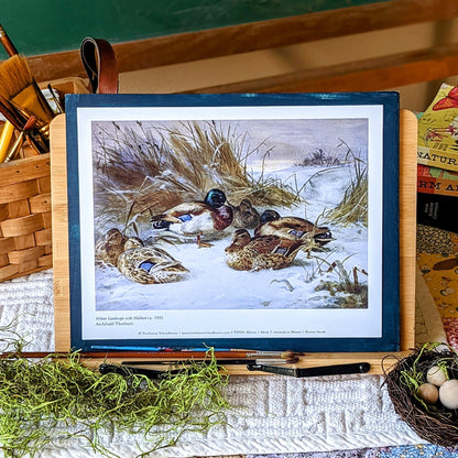 Treehouse Nature Study: Winter, Primary Years (Small Group License)