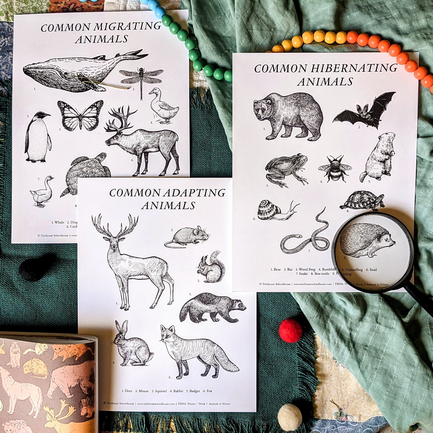 Treehouse Nature Study: Winter, Primary Years (Small Group License)
