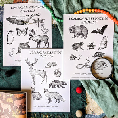 Treehouse Nature Study: Winter, Primary Years (Small Group License)
