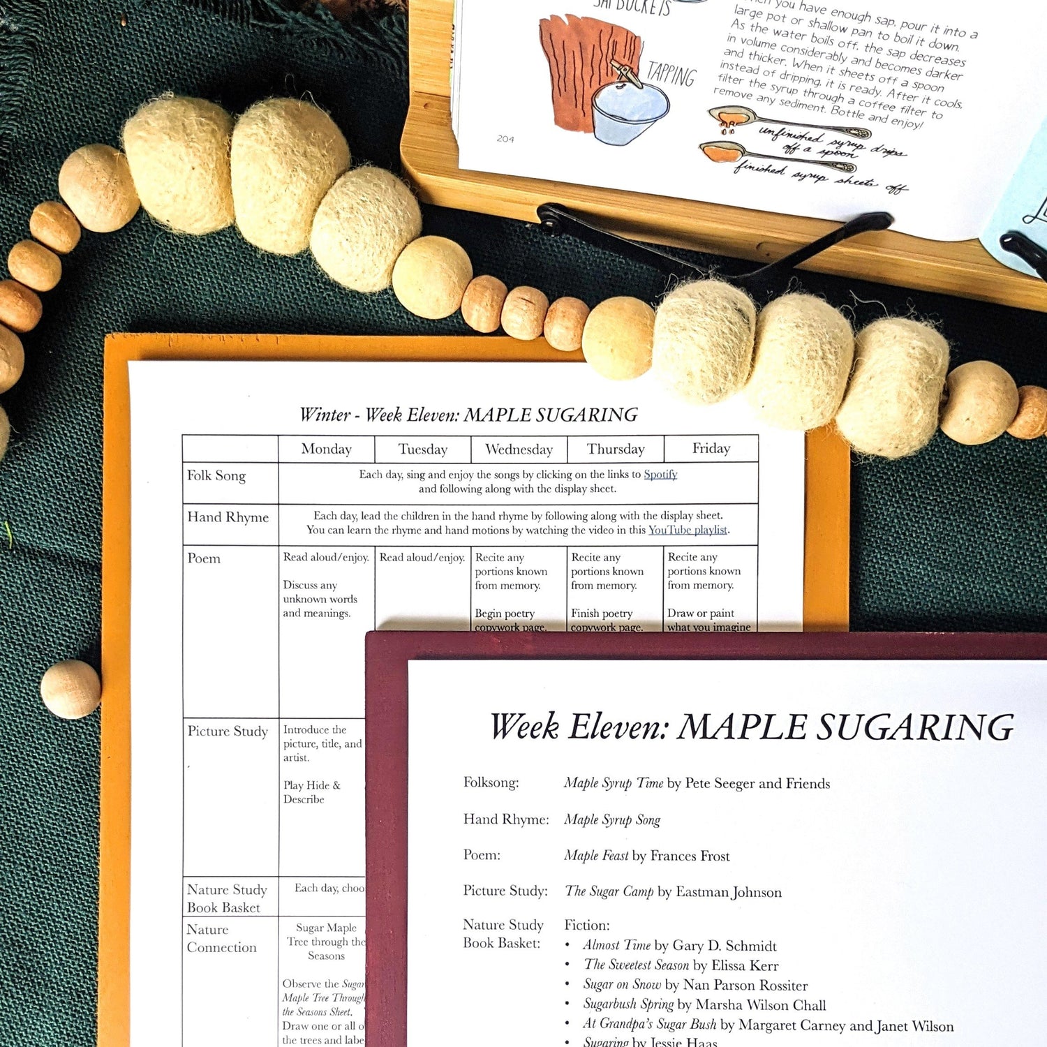 Treehouse Nature Study: Winter, Primary Years (Small Group License)