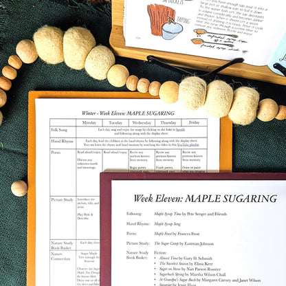 Treehouse Nature Study: Winter, Primary Years (Small Group License)