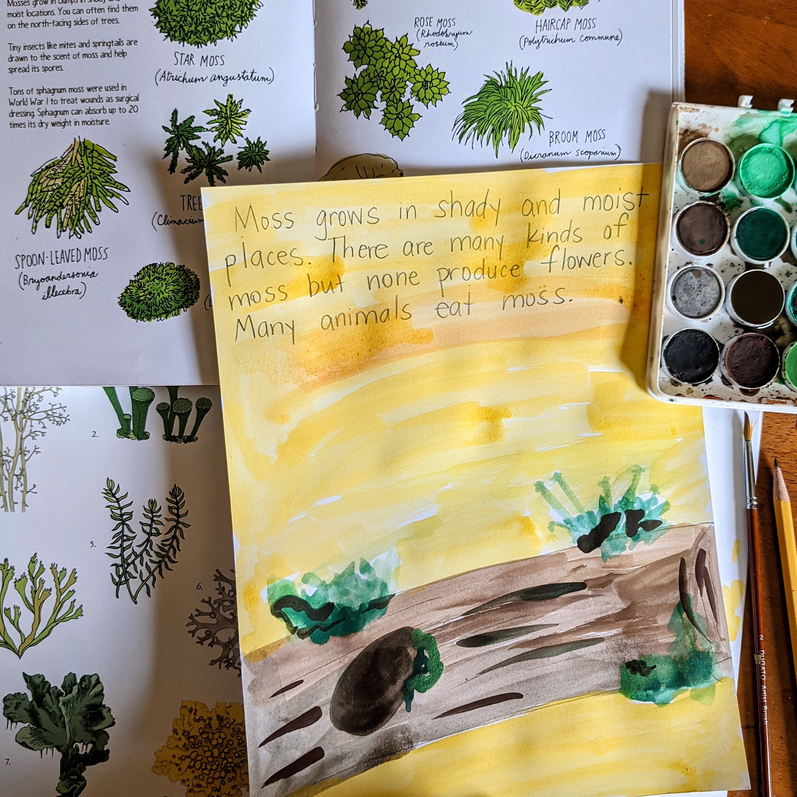 Treehouse Nature Study: Winter, Primary Years