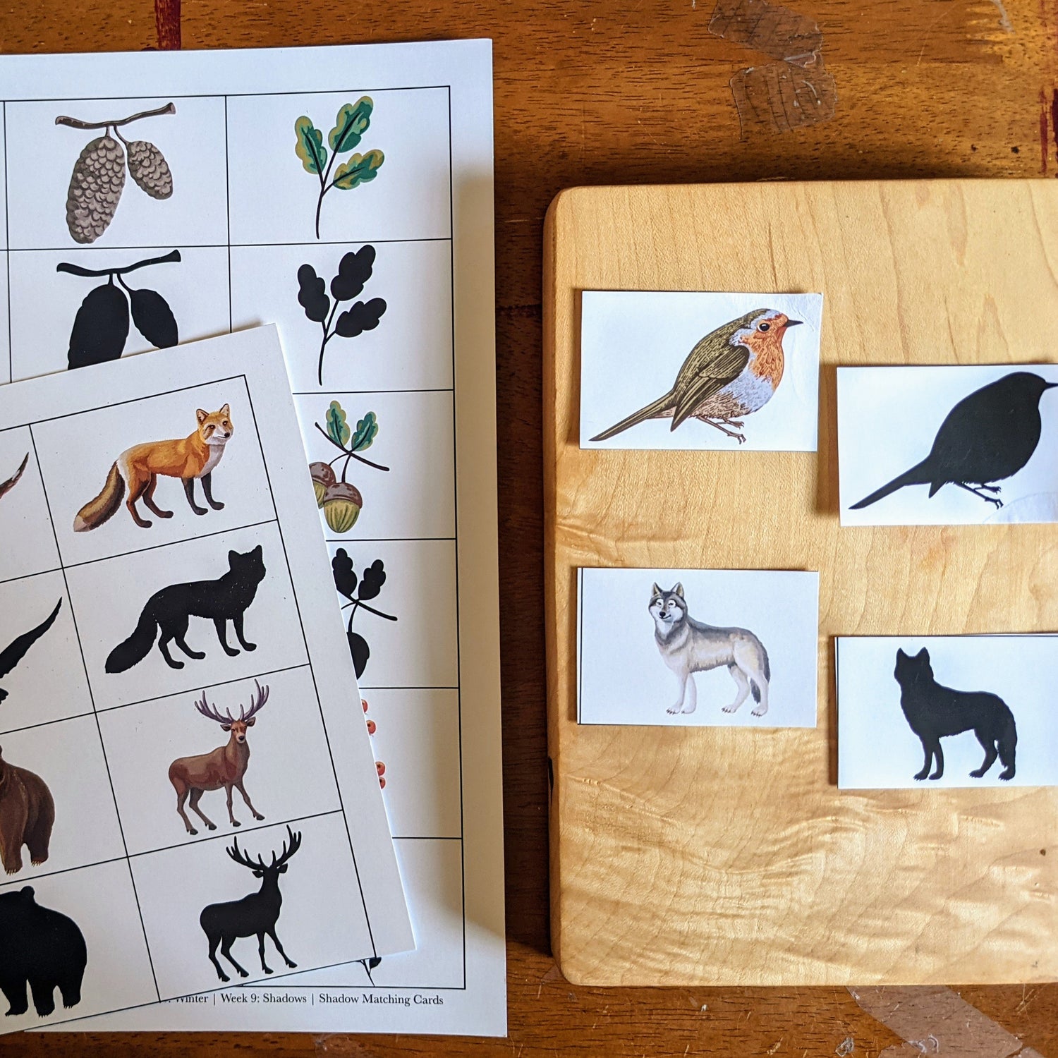 Treehouse Nature Study: Winter, Primary Years (Small Group License)