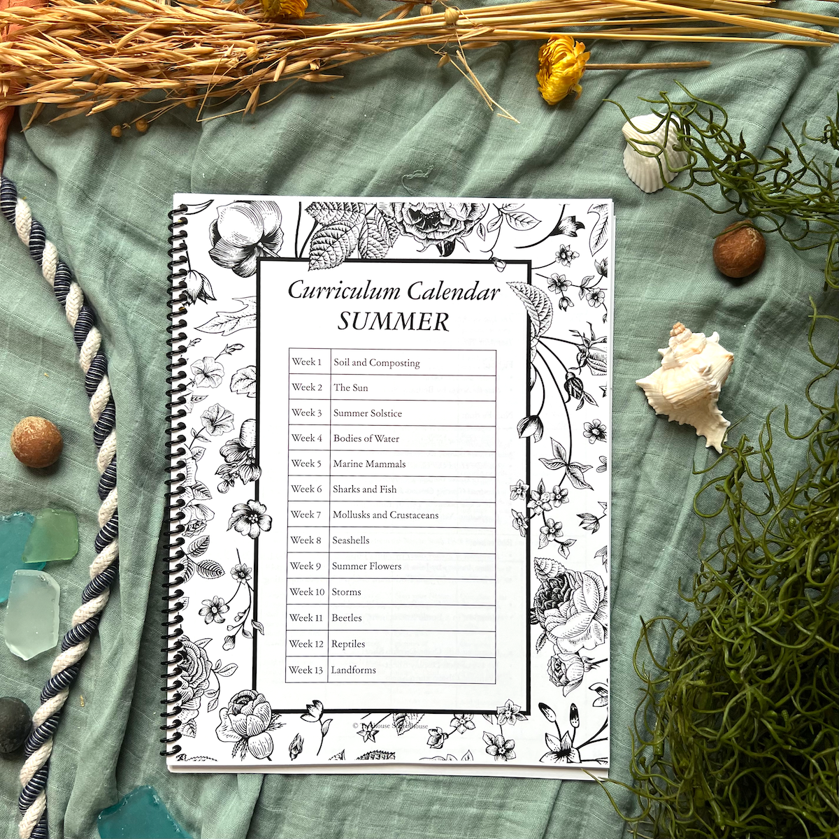 Treehouse Nature Study: Summer, Primary Years (Small Group License)