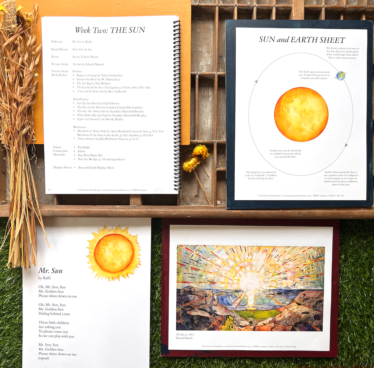 Treehouse Nature Study: Summer, Primary Years (Small Group License)