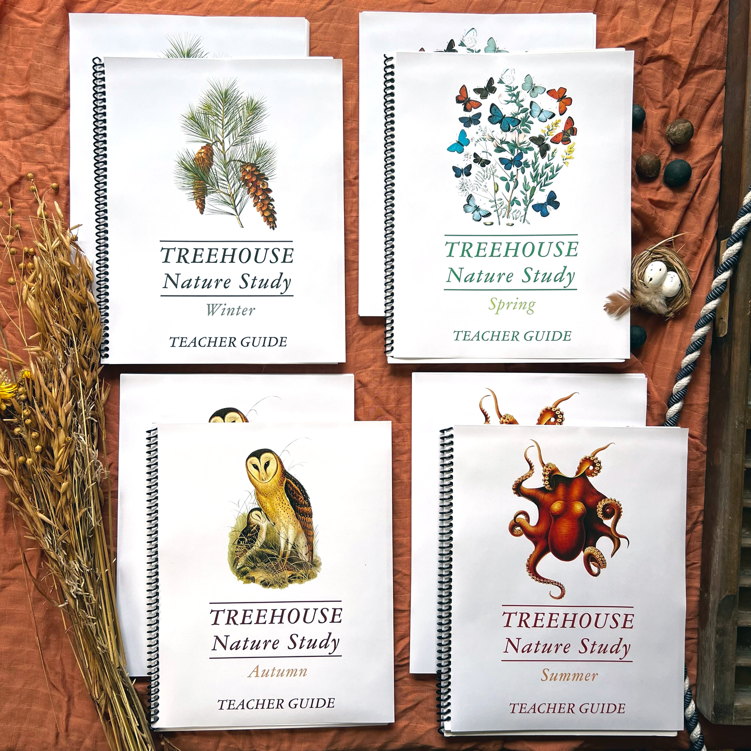 Treehouse Nature Study: Four Seasons Collection, Primary Years