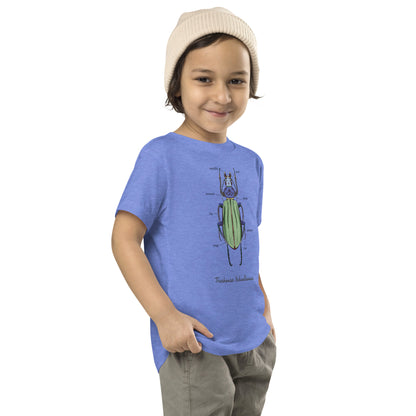Toddler Beetle Anatomy T-Shirt